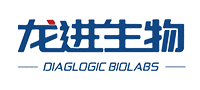 永乐国际